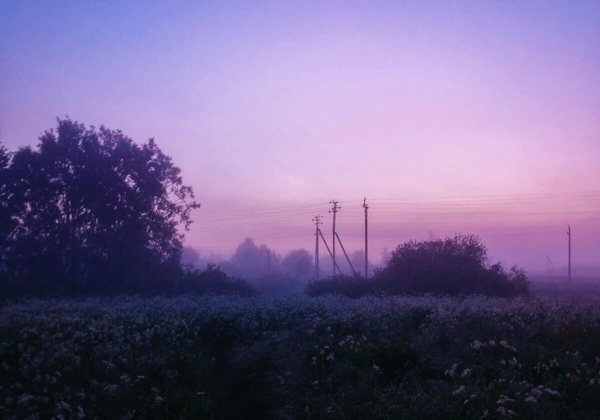 开云-杨舒予加盟澳大利亚墨尔本老虎女篮